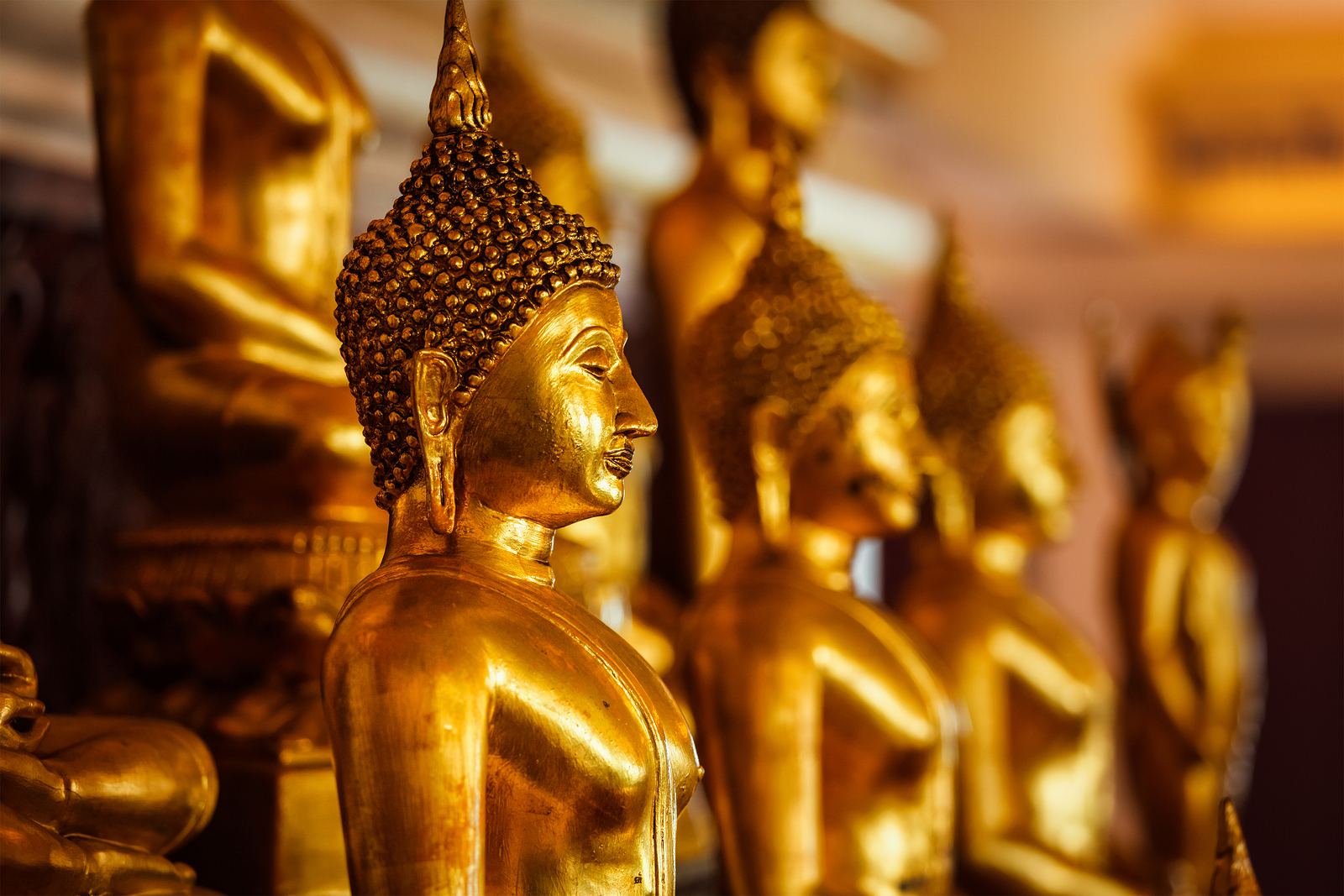 bigstock-Golden-Buddha-statues-in-buddh-127250150.jpg