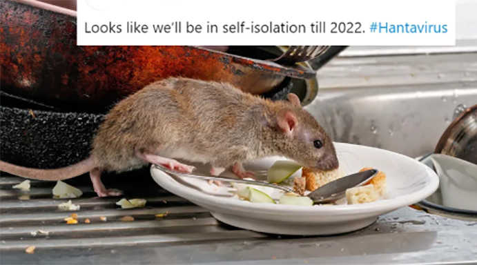 hantavirus-2.jpg