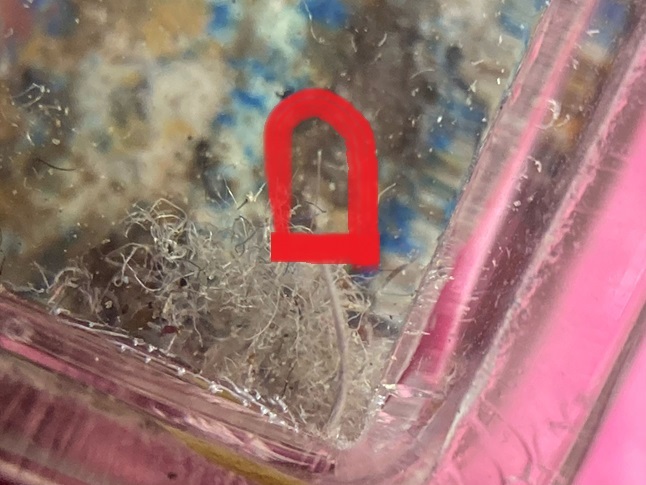 ?temp_hash=ac656cd3c40e7b6121e6a741b6cc0562.jpg